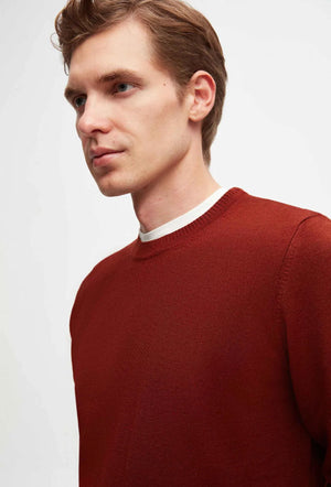 Ds Damat Regular Fit Brick Plain Knitted Wool Knitwear Sweater