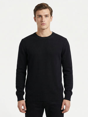 D'S Damat Men's Regular Fit Wool Blend Plain Knit Sweater
