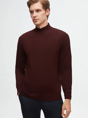 D'S Damat Men's Regular Fit Wool Blend Plain Knit Sweater