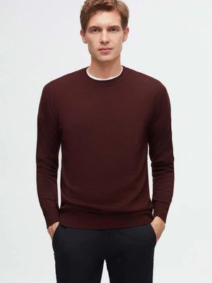D'S Damat Men's Regular Fit Wool Blend Plain Knit Sweater
